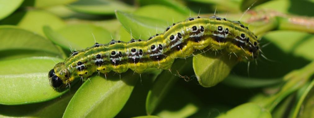 Çevreyle Uyumlu Ürünler